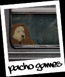 Pacho Games